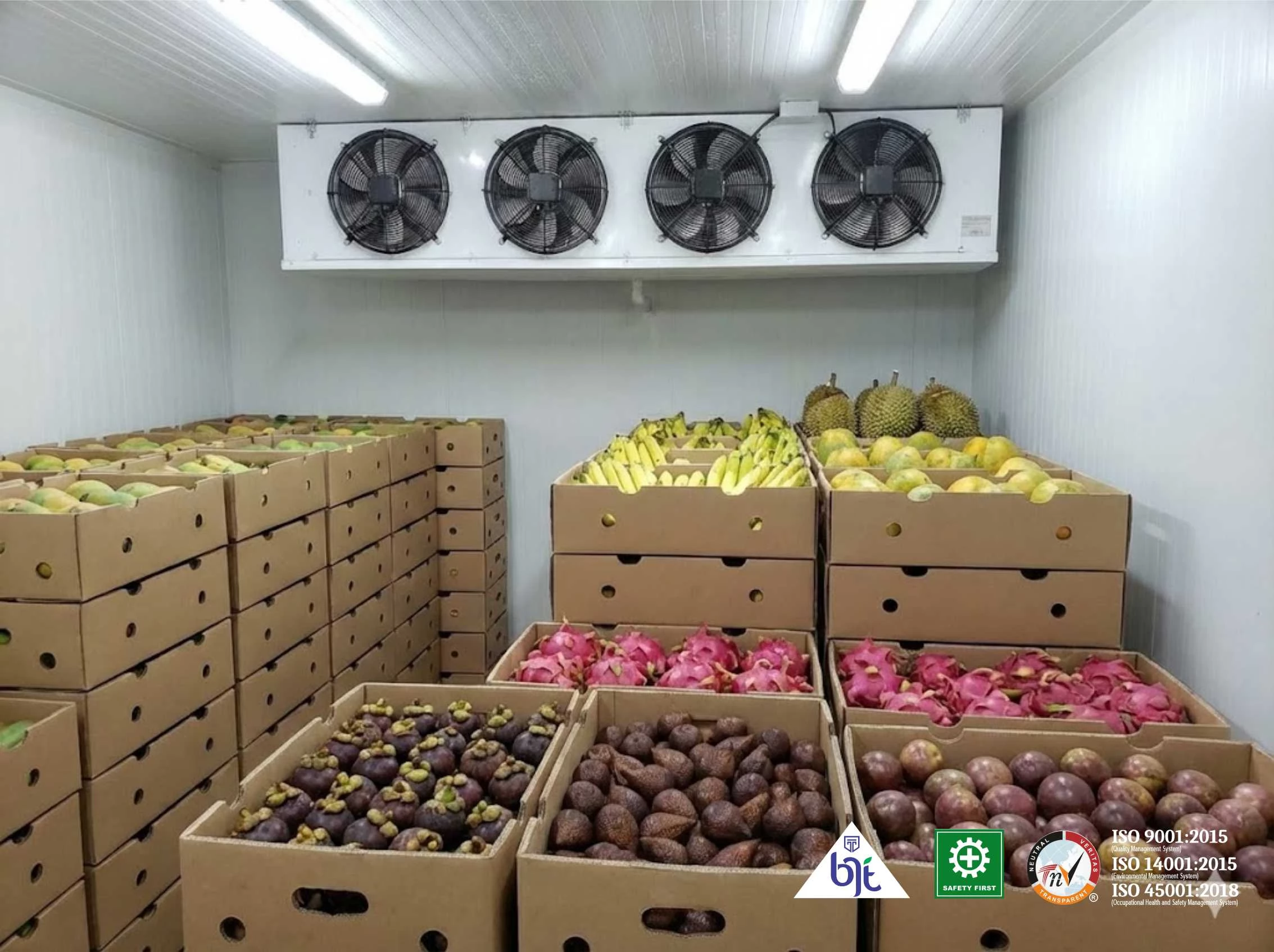 Mesin Cold Storage untuk kebutuhan bisnis Anda